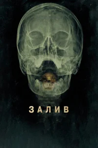  Залив 